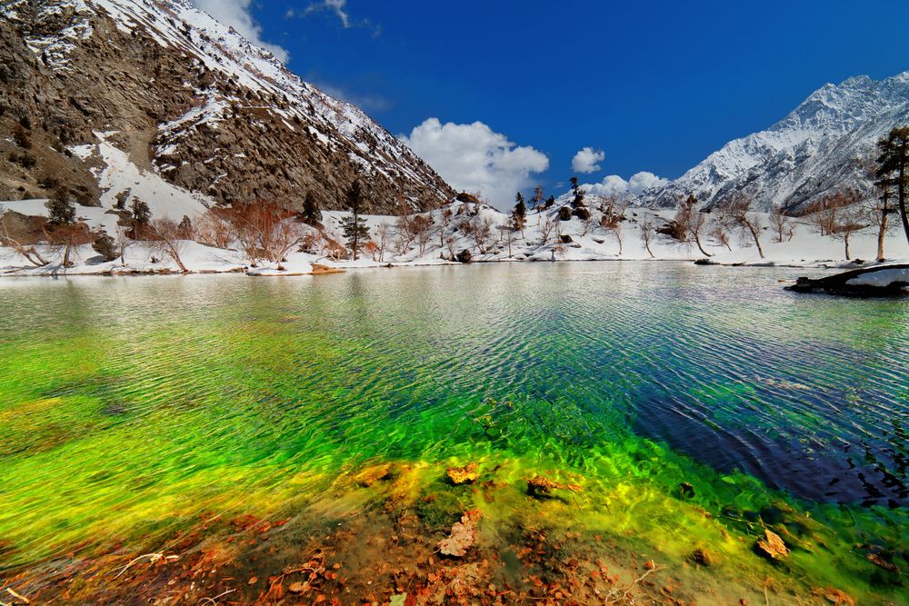 Naltar Valley