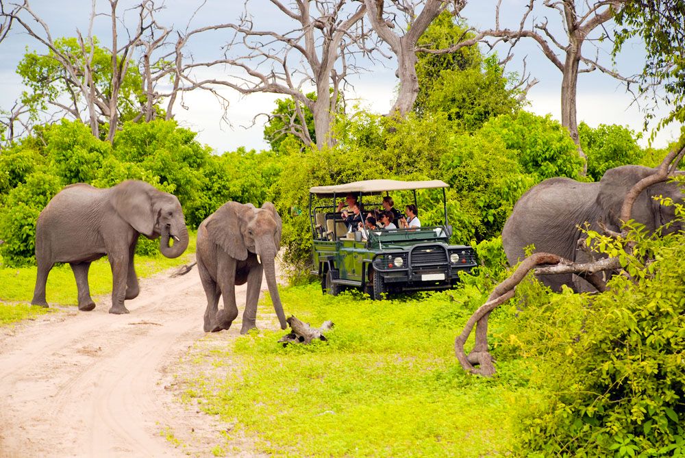 Kruger National Park