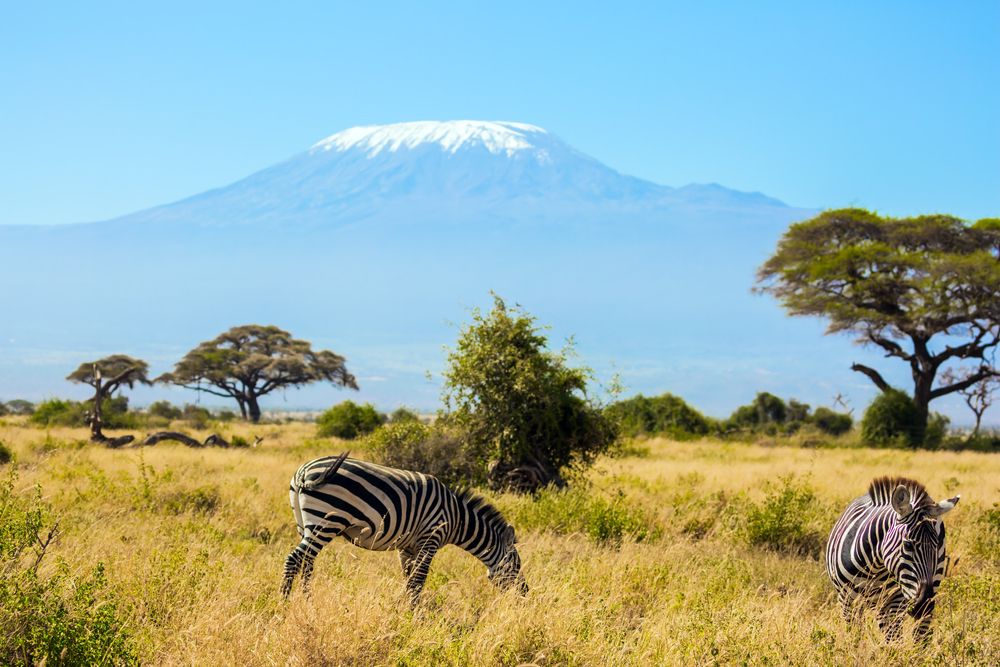 Amboseli National Park