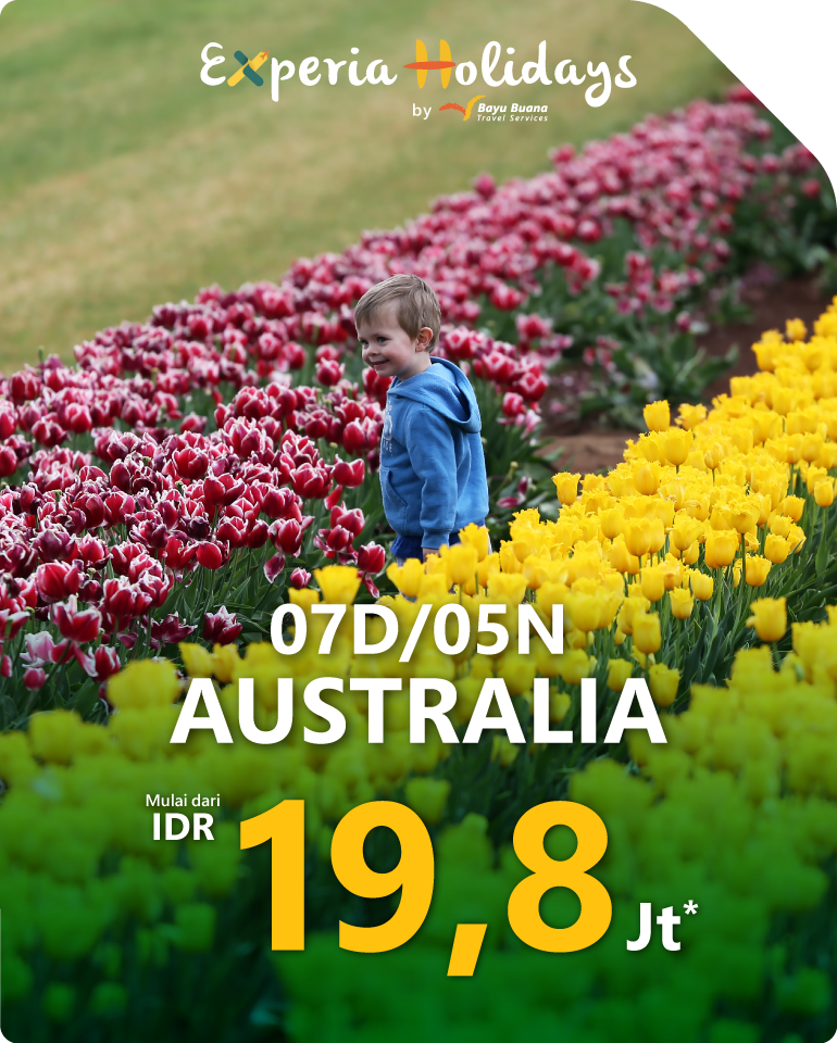 Special offer 3